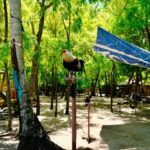 フィリピン留学 週末の過ごし方の紹介（カオハガン島紹介）